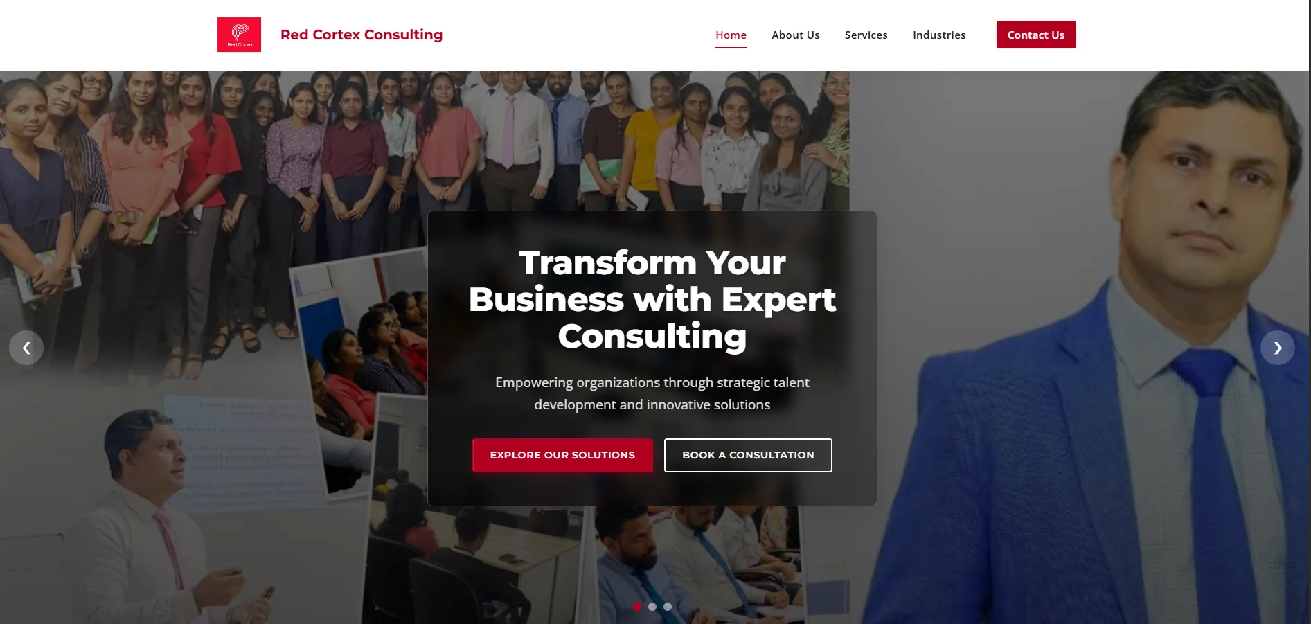 Red Cortex Consulting